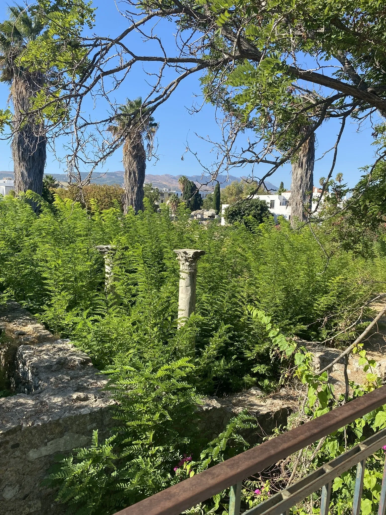 Kos: Ancient City and Agora - Castle of Neratzia