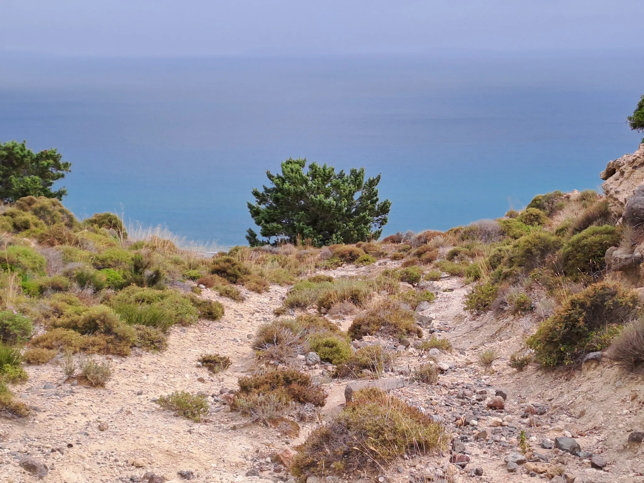 Psalidi - Zia North