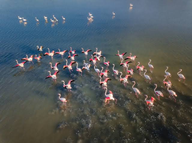 Alikes Tigaki Wetland Loop
