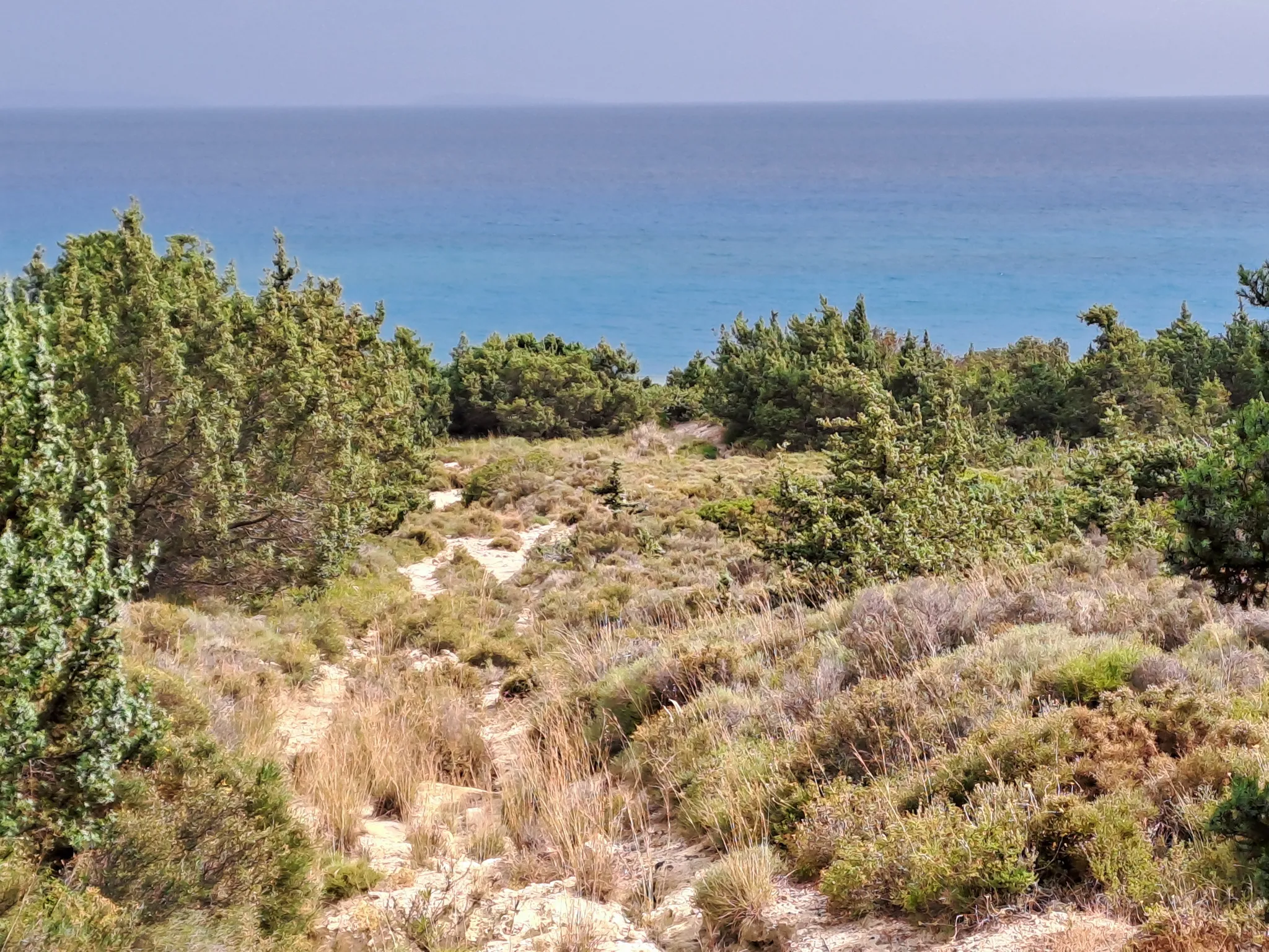 Polemi Beach