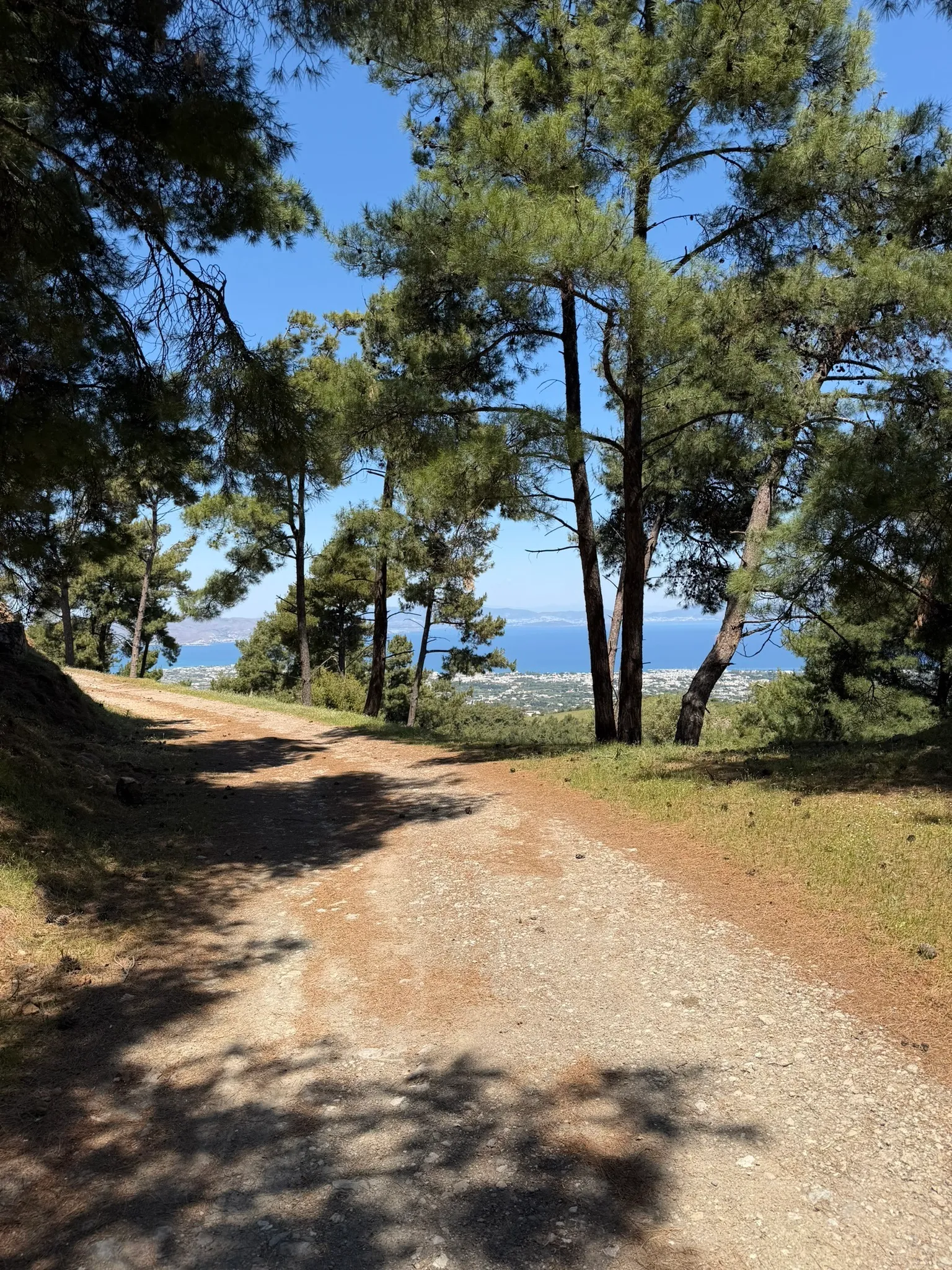 South Coast Lookout Loop