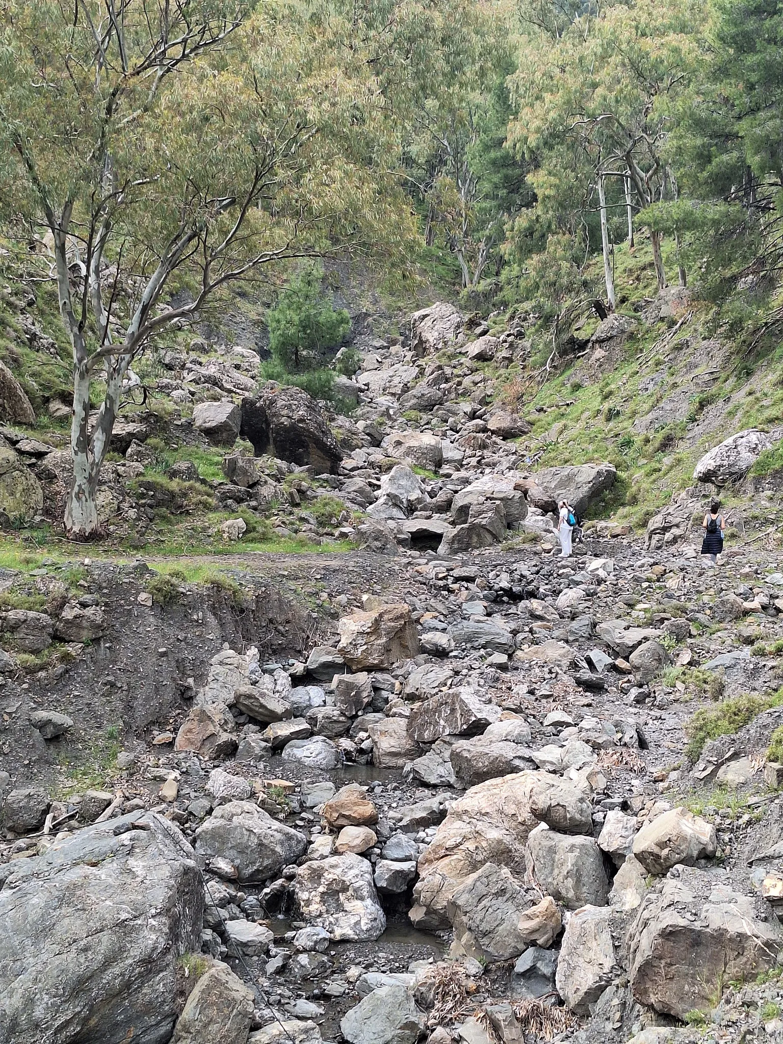 Agios Nektarios - Tsoukalaria Forest Loop